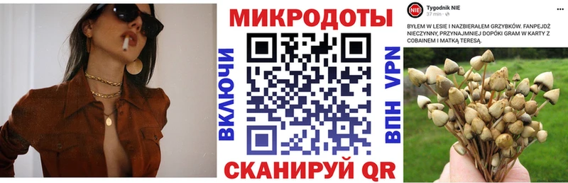 ОМГ ОМГ рабочий сайт  нарко площадка формула  Псилоцибиновые грибы Psilocybine cubensis  Бологое 